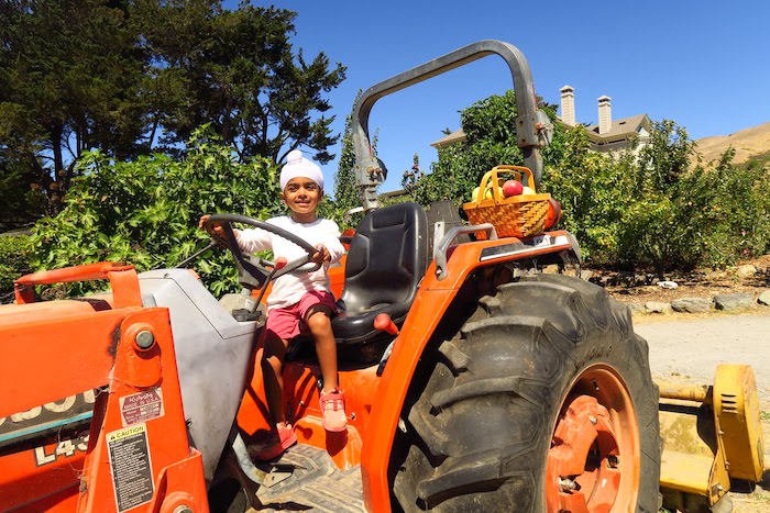 Tractor at Chileno Valley Ranch