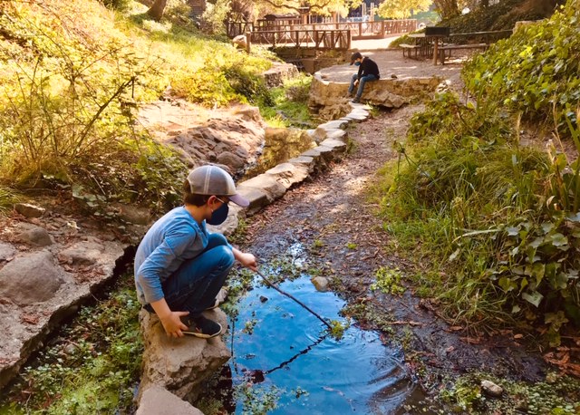 Codornices-Creek-Berkeley