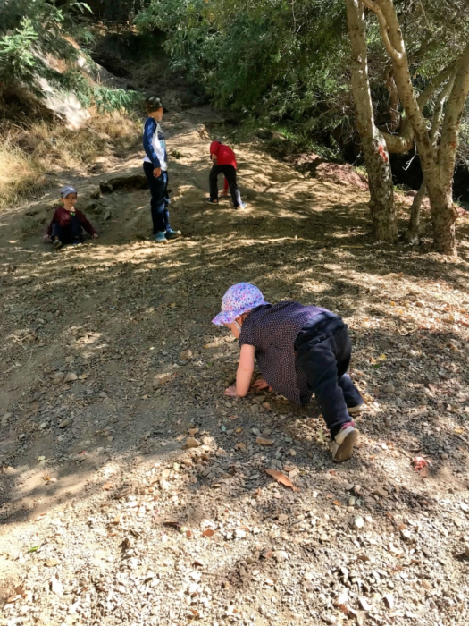 Park Profile: Dracena Quarry Park in Piedmont 3 Keeping up with big brothers