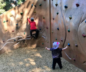 Dracena Park in Piedmont