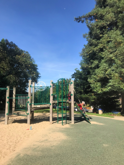 Park Profile: Dracena Quarry Park in Piedmont 2 dracena play structure