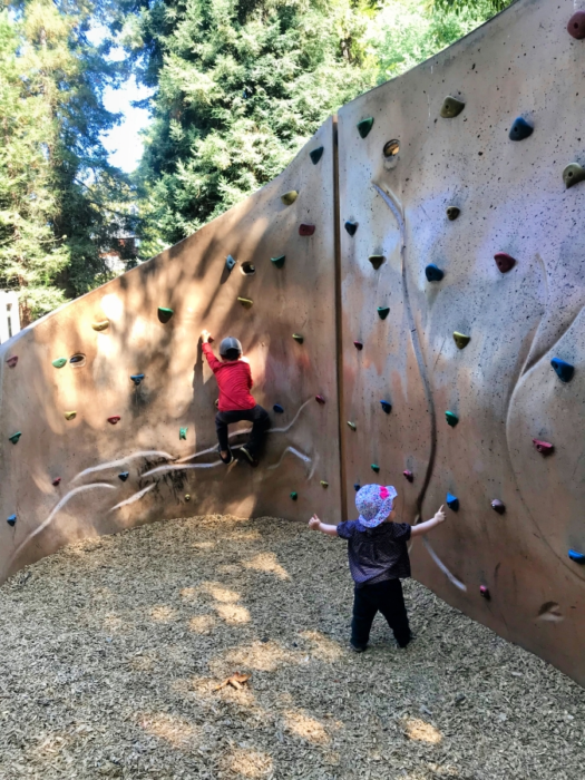 Park Profile: Dracena Quarry Park in Piedmont 4 dracena quarry climber