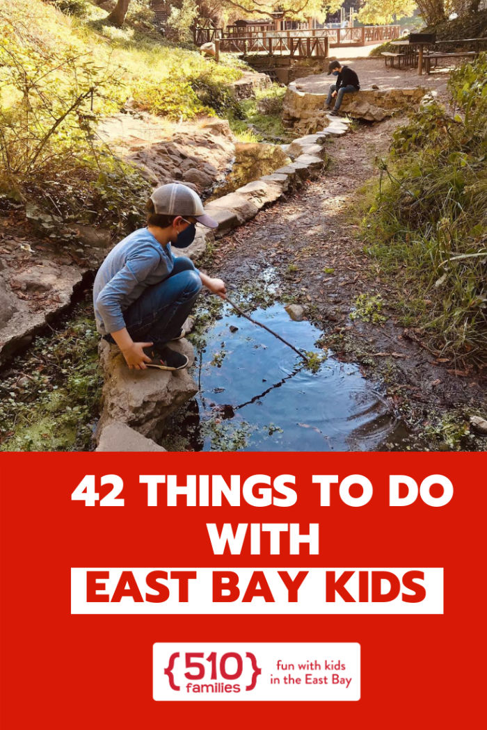 newcomers guide to the east bay