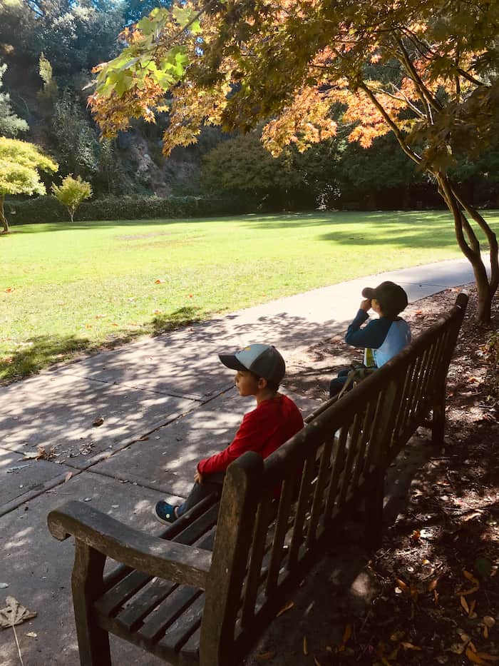 two boys eating snack on a bench by a grassy field