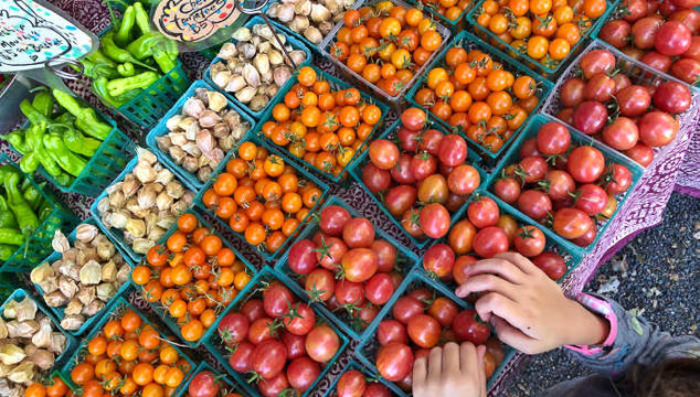 Visit the Grand Lake Farmers Market, choose your own adventure 1 farmers market