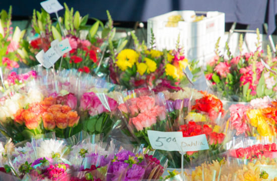 Visit the Grand Lake Farmers Market, choose your own adventure 4 flowers peaches farmers market