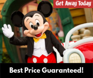 disneyland 300