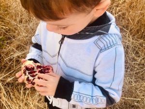 child eating pomegranate on the farm