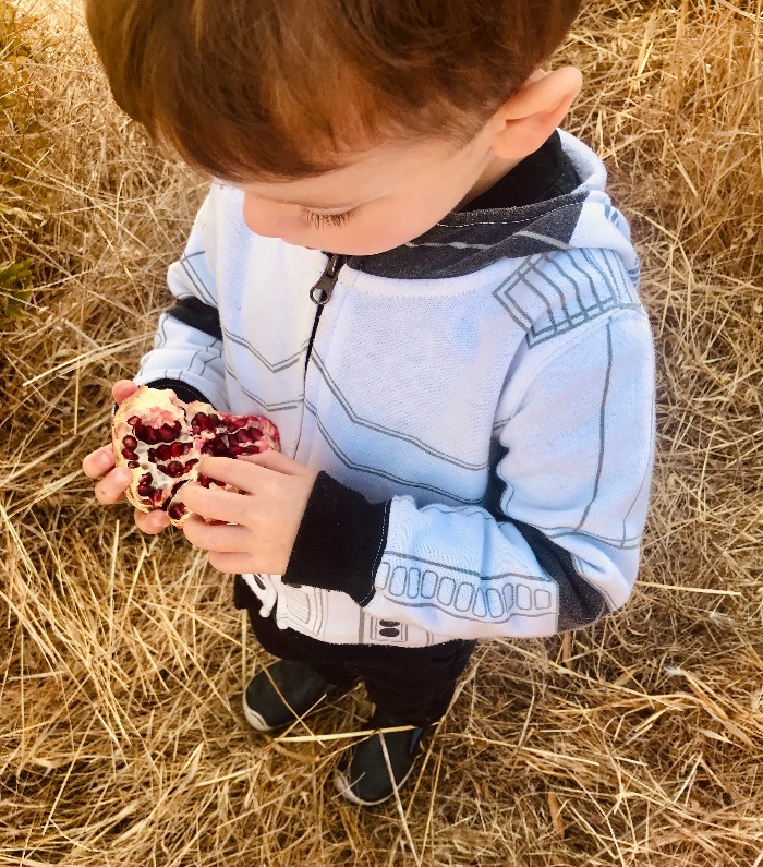 Child eating pomegranate