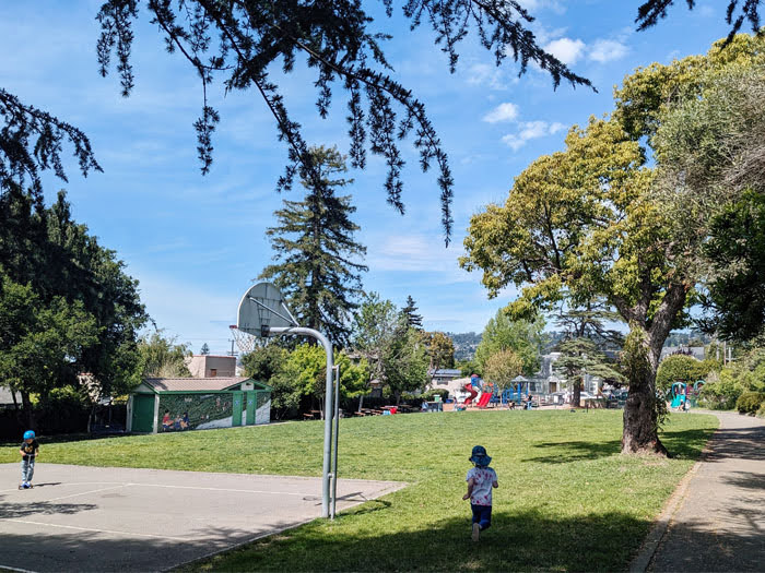 Jewel Terrace Park grassy field