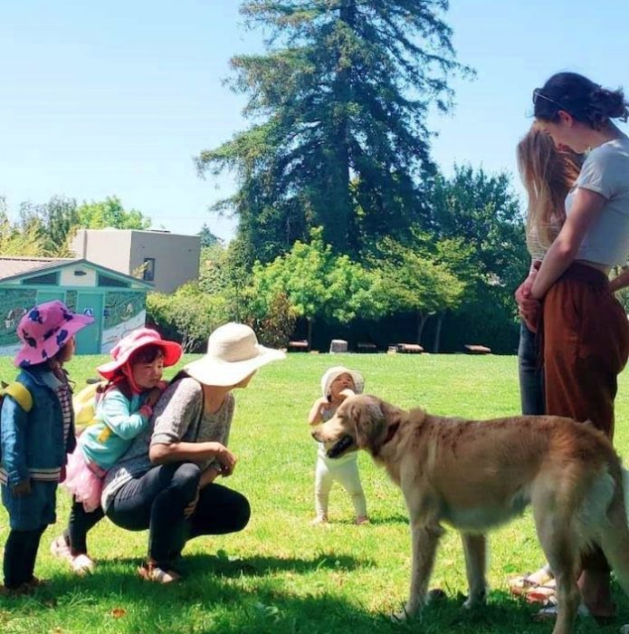 Park Profile: Jewel's Terrace Park (Albany) 6 Albany kids and dogs