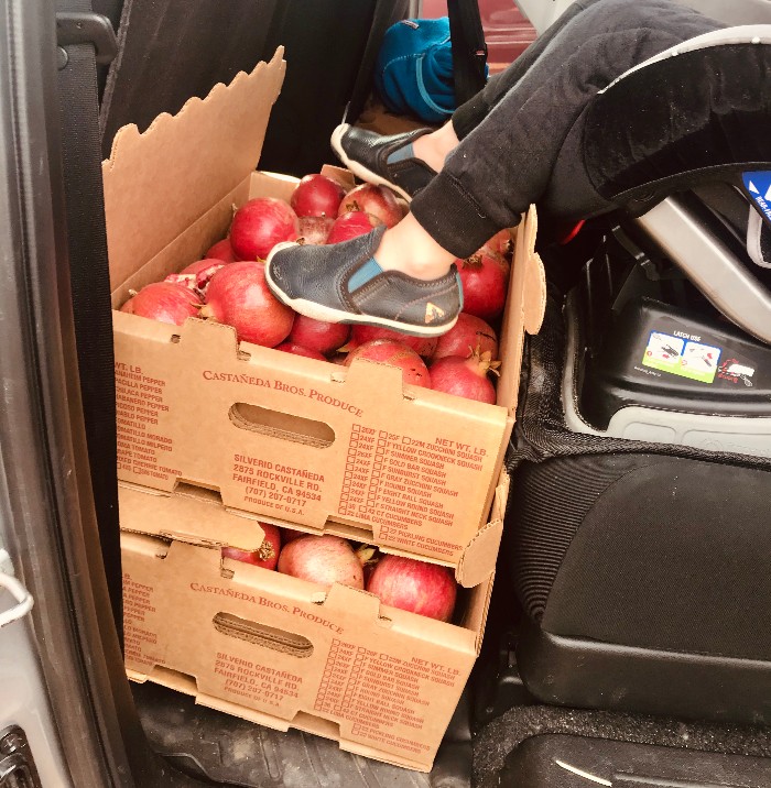 Pomegranate Picking in the East Bay 5 Boxes of Pomegranates