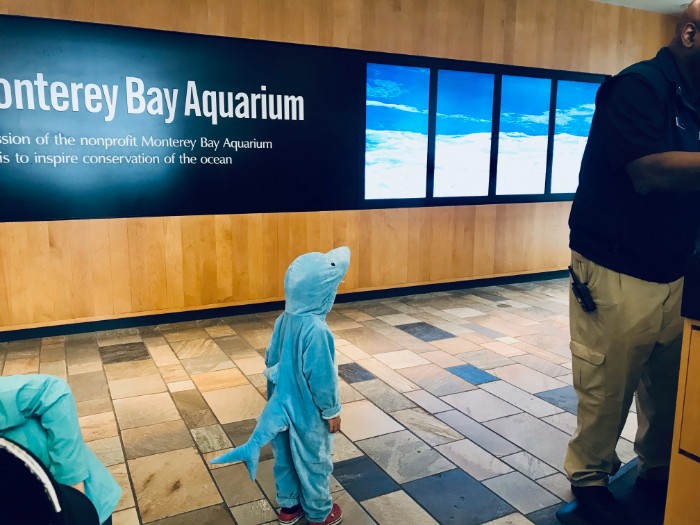 Monterey-Bay-Aquarium