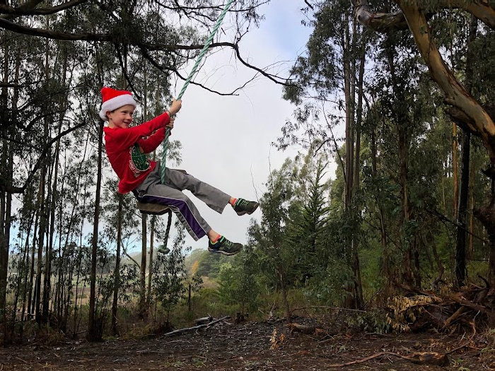 Rancho Siempre Verde kid on tree swing