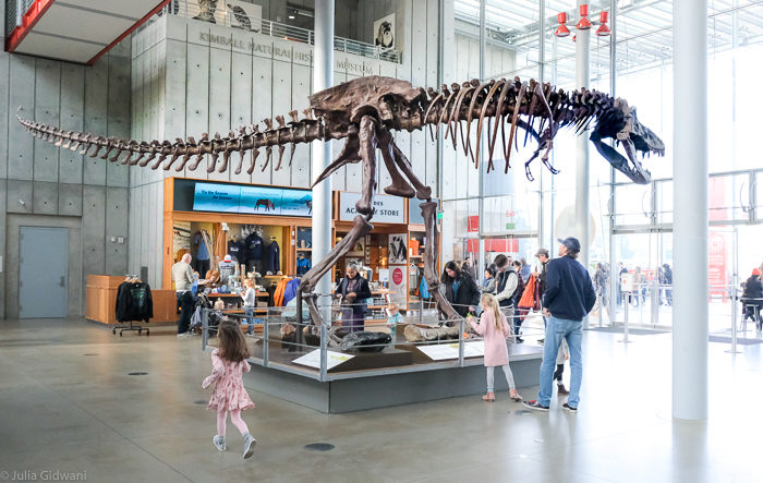 Cal Academy T-Rex