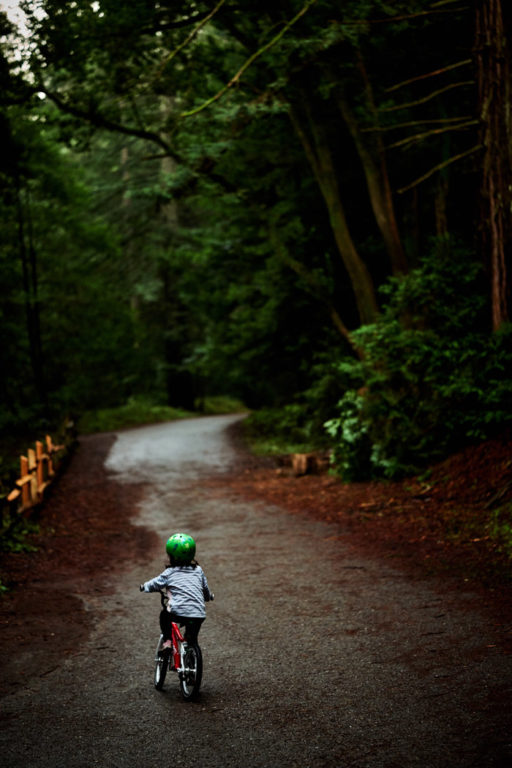 How to Find Ladybug Colonies in Oakland's Reinhardt Redwood Regional Park 3 Biking on Stream Trail in Redwood Park