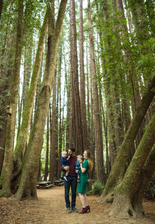redwoods family walk