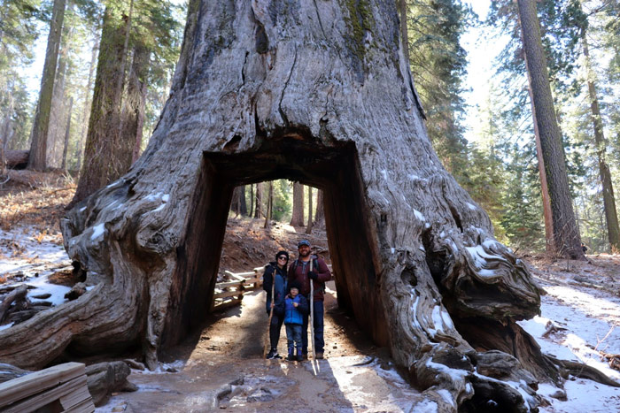Family-friendly Yosemite