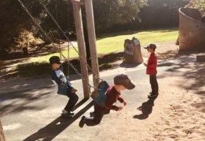 Dracena Park Piedmont Swings