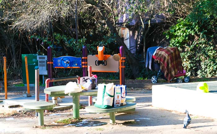 The Temescal Farmer’s Market, Rockridge-Temescal Greenbelt & Frog Park 3 FROG Park 510 Fam 9315