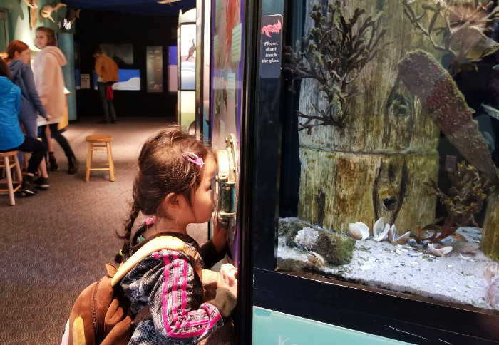 31 Bay Area Things to Do With East Bay Kids in August 20 crab cove visitor center KC