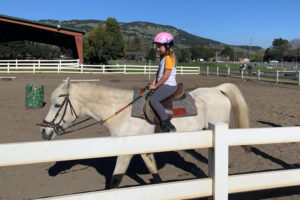 Horseback Riding in Novato