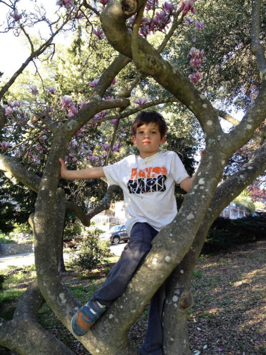 Outdoor Activities Families Can Do With Social Distancing From A-Z 1 Child climbs a flowery tree