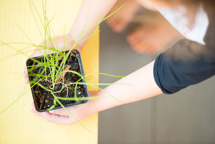 The Essential Guide to Gardening With Kids In the East Bay 3 Gardening Julia Gidwani 510Fam 1858