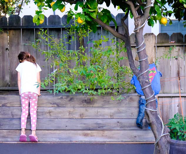 The Essential Guide to Gardening With Kids In the East Bay 5 Gardening Julia Gidwani 510Fam 2046