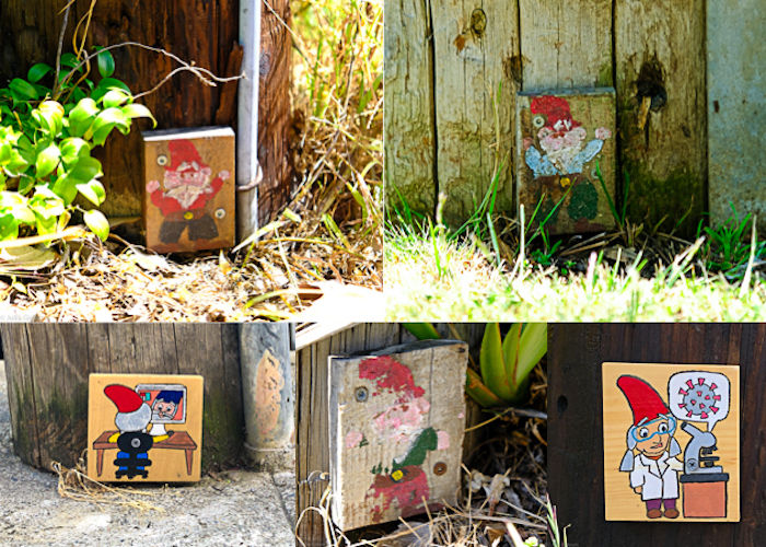 gnomes
