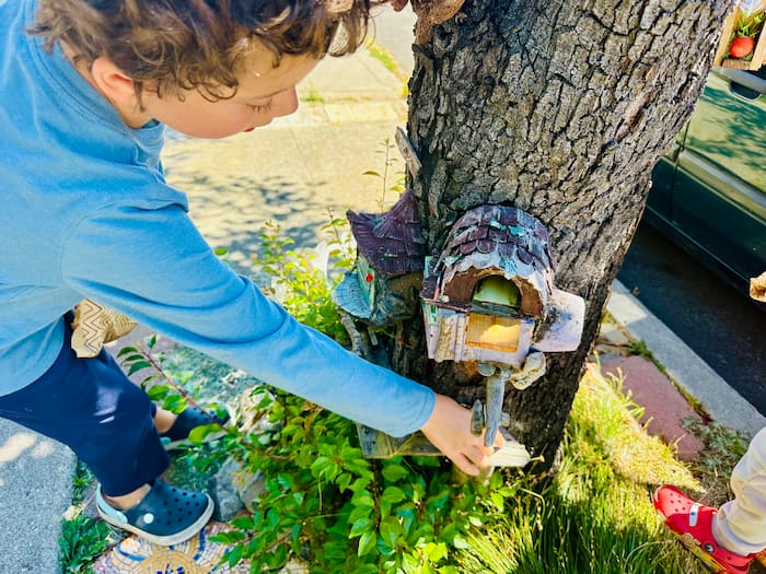 little boy opening fairy house door