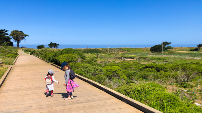 Super Family-friendly Trails & Beaches at Mori Point, Pacifica 1 Mori Point Julia Gidwani 8407
