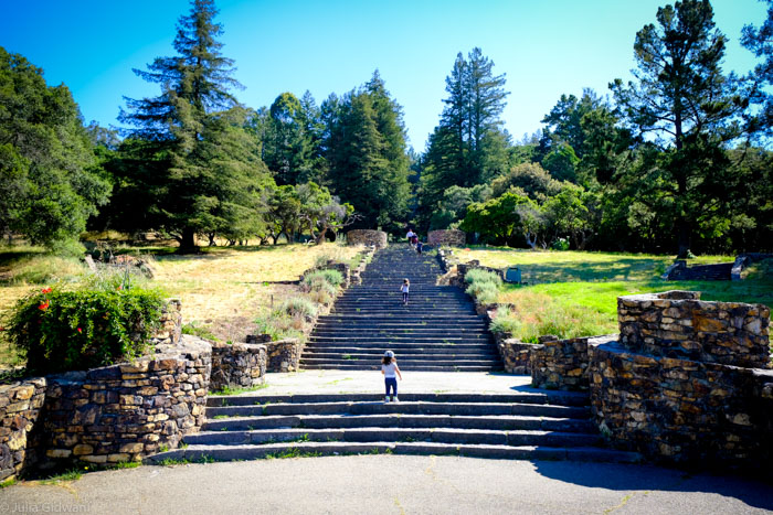 Joaquin Miller Park Has Some of the Best Views (& Lizards) in East Bay 