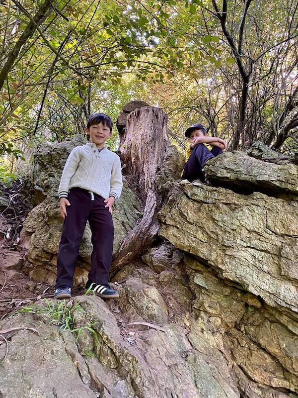 Fairy Gates Trail Hike in San Francisco 5 exploring mount sutro in sf