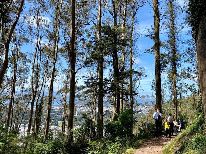 Fairy Gates Trail Hike in San Francisco 2 Mount Sutro Open Space