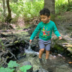 dipping toes in wildcat creek