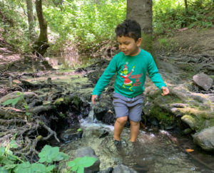 dipping toes in wildcat creek