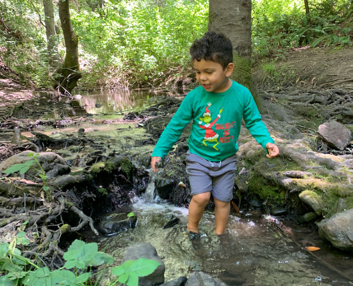 dipping toes in wildcat creek
