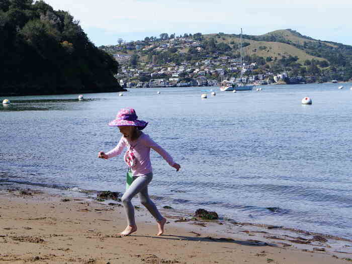 Angel Island State Park Beach