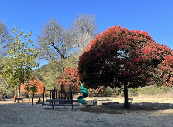 Playground at Redwood Regional Park
