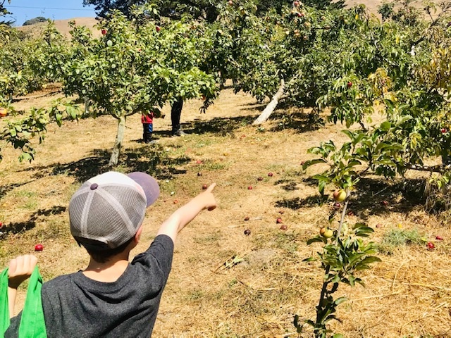 boy pointing at trees