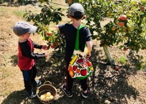 boys picking apples