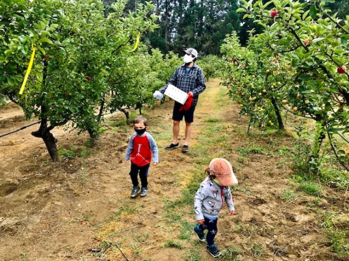 EARTHseed farm apple picking