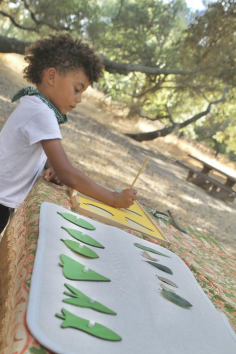 DIY Outdoor School: Redwood Regional + Botany Exploration 2 Leaf Classification for Kids