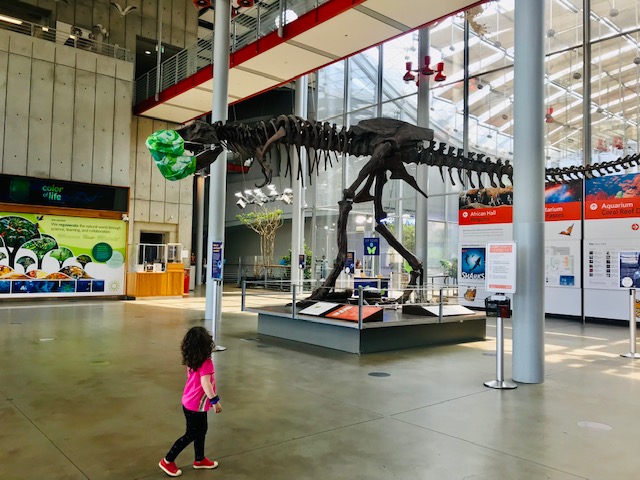 T-Rex with mask