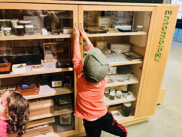 child opening cabinet