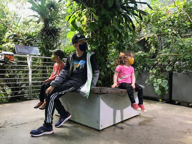 children sitting on bench