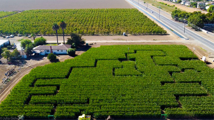 G&S Pumpkin Patch & Corn Maze Is Festive Fun For The Whole Family 5 Pumpkin Patch