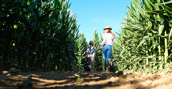 G&S Pumpkin Patch & Corn Maze Is Festive Fun For The Whole Family 4 Pumpkin Patch 2 1