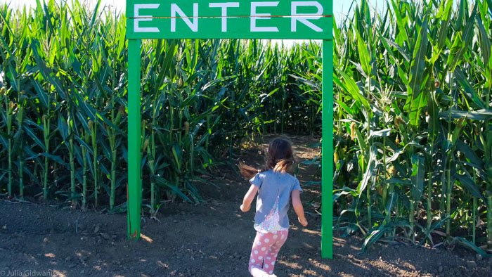 G&S Pumpkin Patch & Corn Maze Is Festive Fun For The Whole Family 8 Pumpkin Patch 4